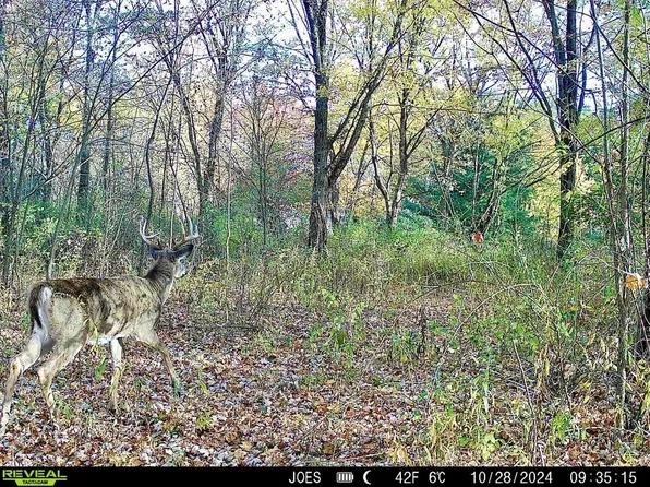 334 State Route 314, Centerburg, OH 43011
