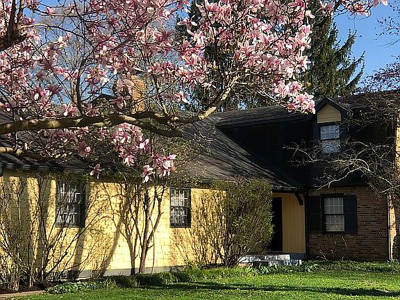 beautiful, spacious home