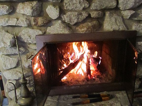 Wood burning fireplace