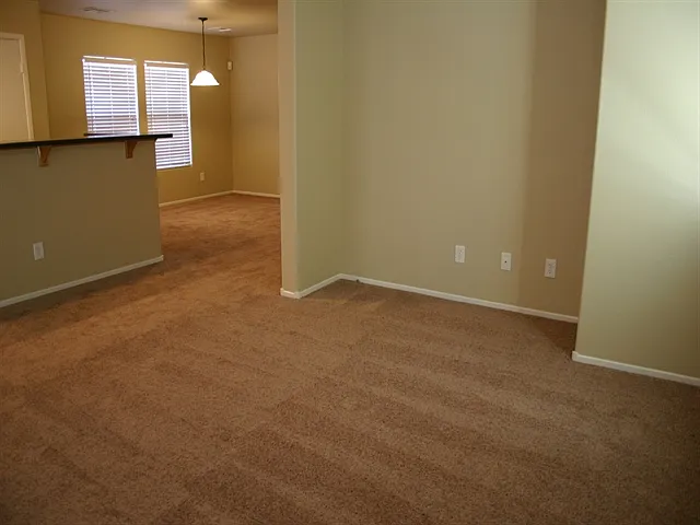1171 Paradise Safari Dr — Photo 7