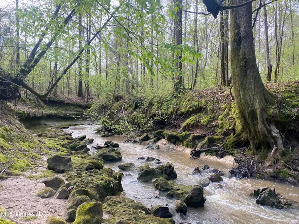 Berry Cir, Pearl, MS 39208