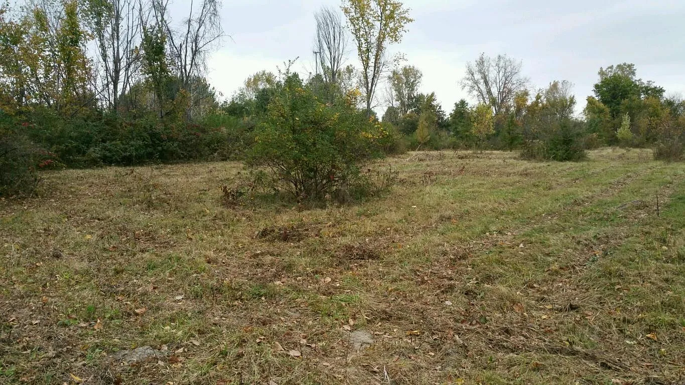 3340 Liberty Rd photo 1