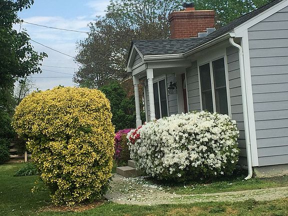 Front stamped concrete walk