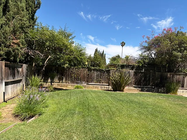 Right half of backyard
