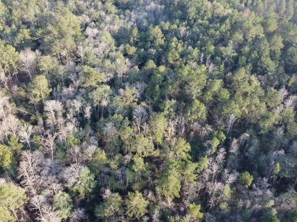211 S County Line Rd, Columbia, MS 39429
