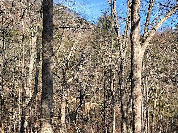5th image of 711 Boys Camp Rd #48
