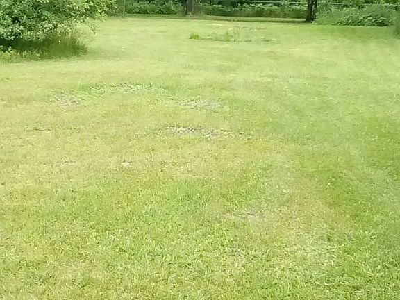 Large back yard