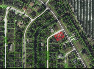 1141 Washington Blvd NE, Lake Placid, FL 33852