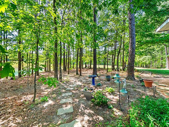 9th image of 635 Seven Mile Ridge Rd