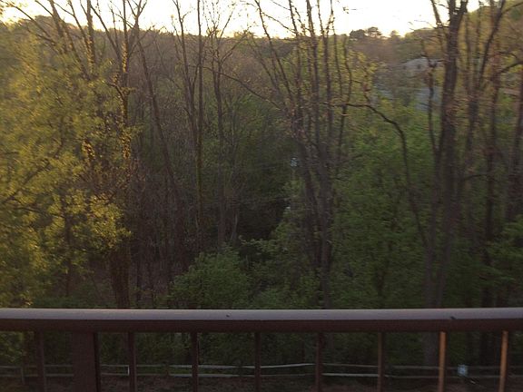 View from LR/ Balcony