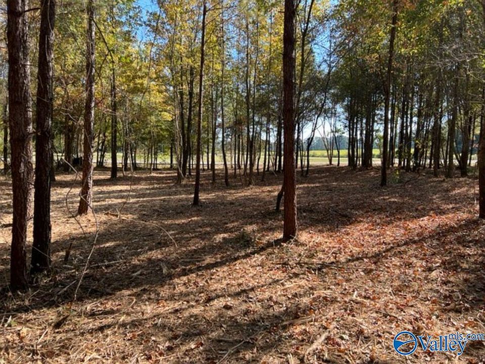 2nd image of 1 Lyle Cir