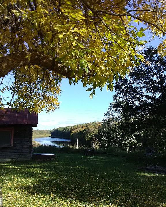 Looking East at the Big Fork