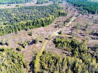 Walker Springs Rd, Monticello, FL 32344