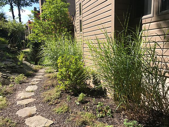 Side of house to back yard