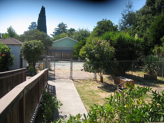 Backyard View