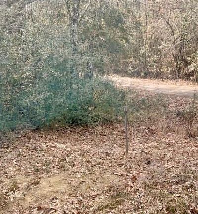 2nd image of Joiner Wymer Rd