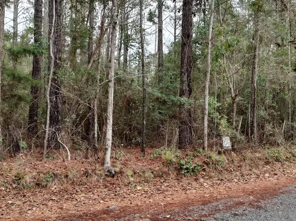 130 Osborn Moody Rd, Poplarville, MS 39470