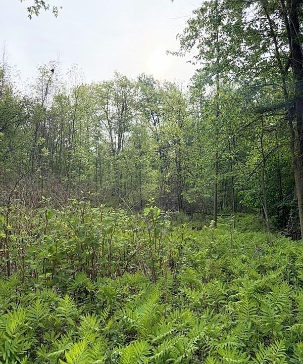 2nd image of Route 13 Lot 19