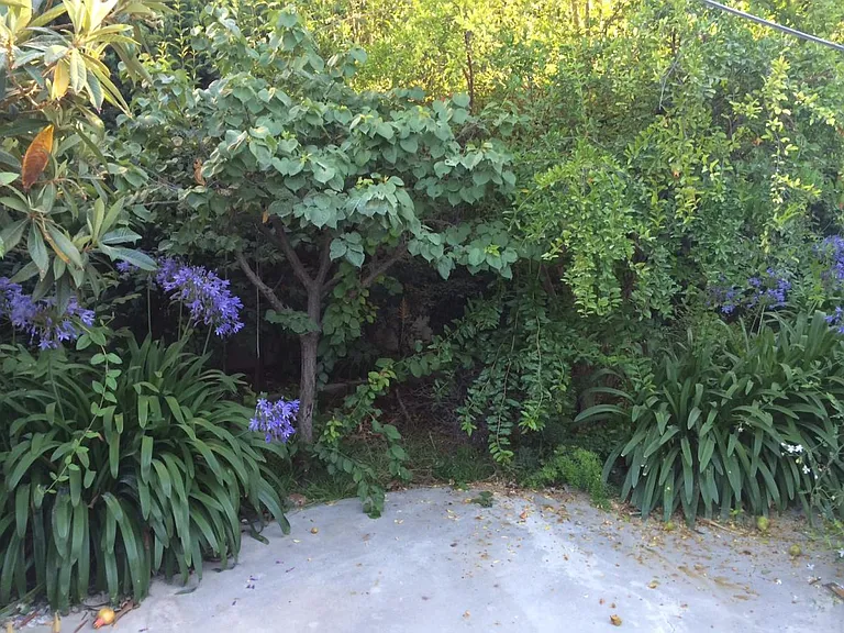 20532 Vose St — Photo 7