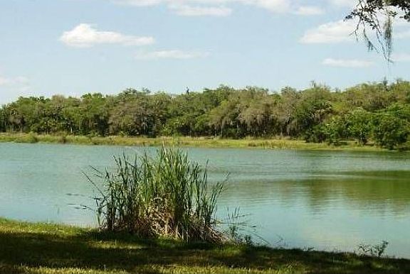 11 Acre Shell Bottom Lake