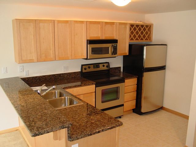 Kitchen- Granite & Stainless