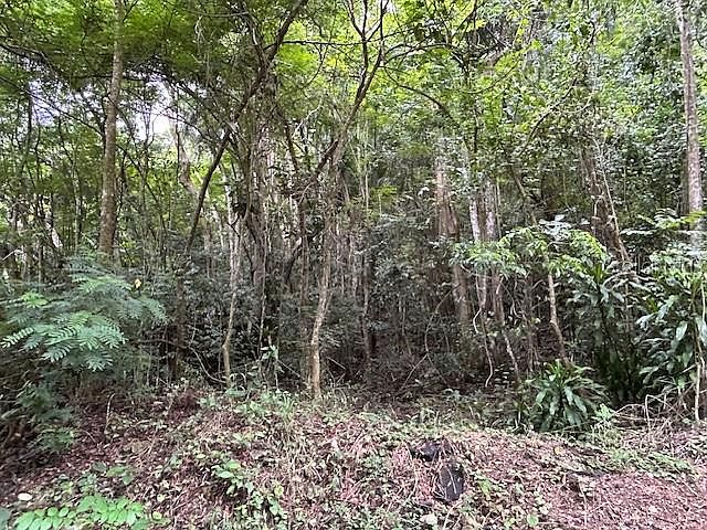 2nd image of Bo. Candelaria PR 647 CAMPO NUEVO -AZUCENA ST. ##1