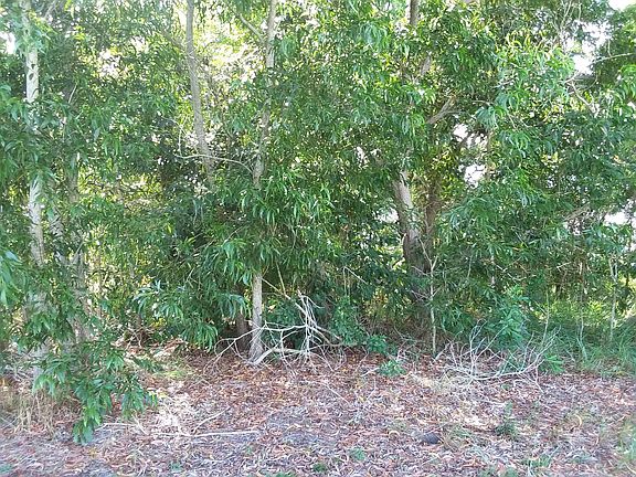 4th image of 2226 SE West Blackwell Drive