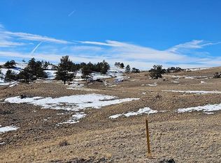 487 Falcon Rd, Hartsel, CO 80449