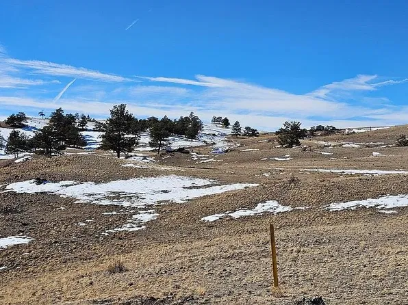 487 Falcon Rd, Hartsel, CO 80449