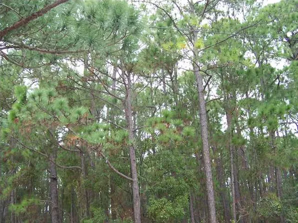 500 Fort Tombecbe Pl, Dauphin Island, AL 36528
