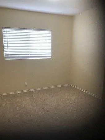 13231 Hopkins Glade — Photo 5
