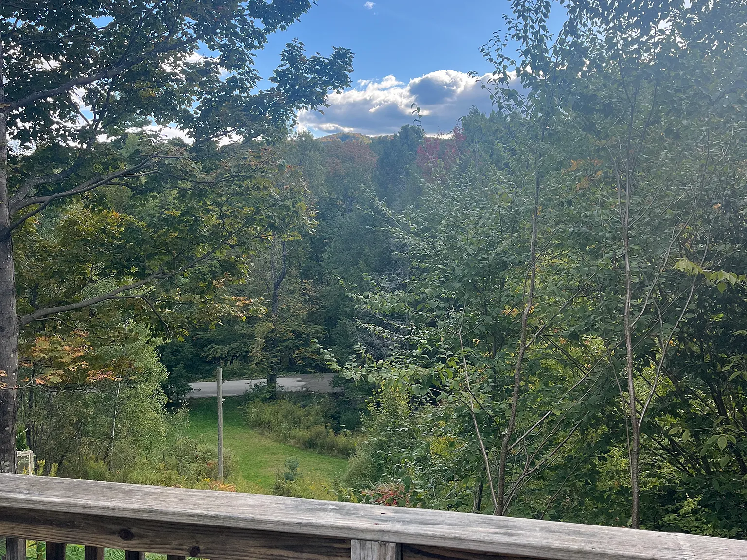 Studio, 768 sqft, $1,500 — Photo 3