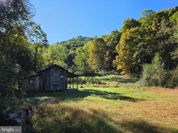 Lots 5 & 6 Proctor Rd, Purgitsville, WV 26852