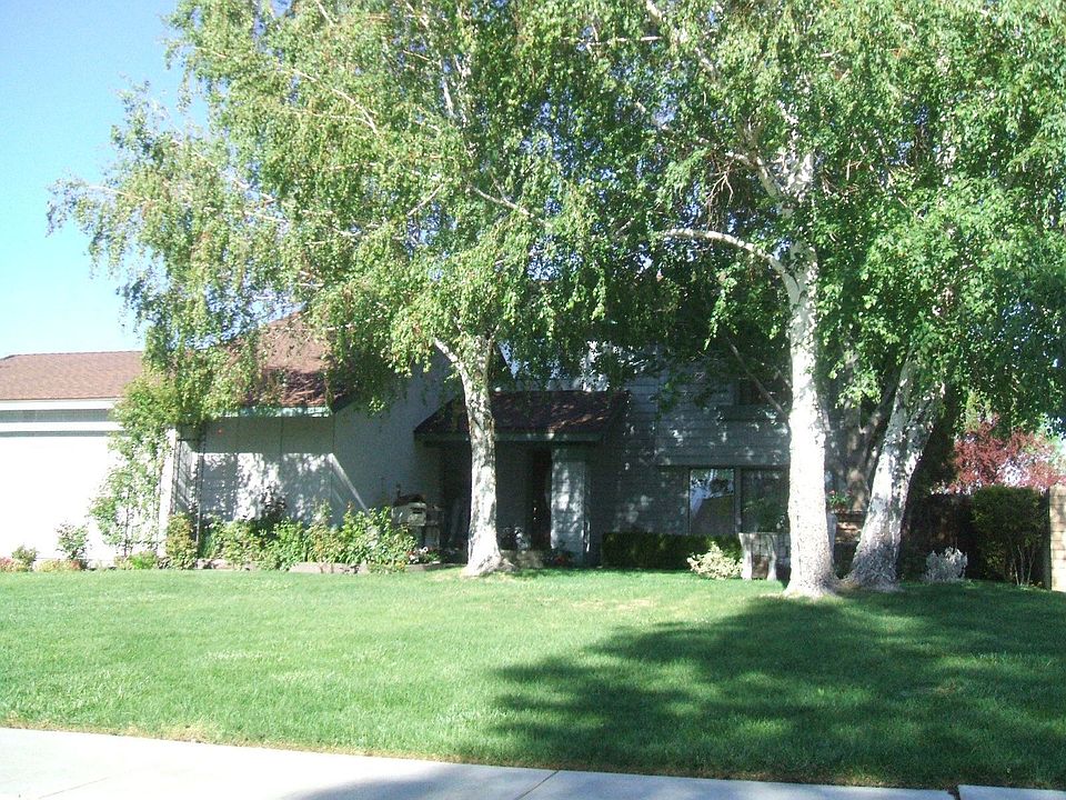 Spring in Bishop