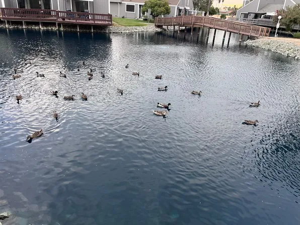 2069 Sand Point Rd, Discovery Bay, CA 94505