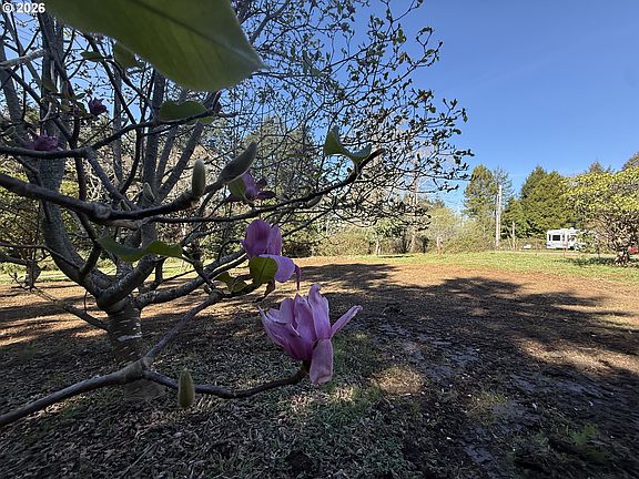 5th image of 1300 Hampton Rd