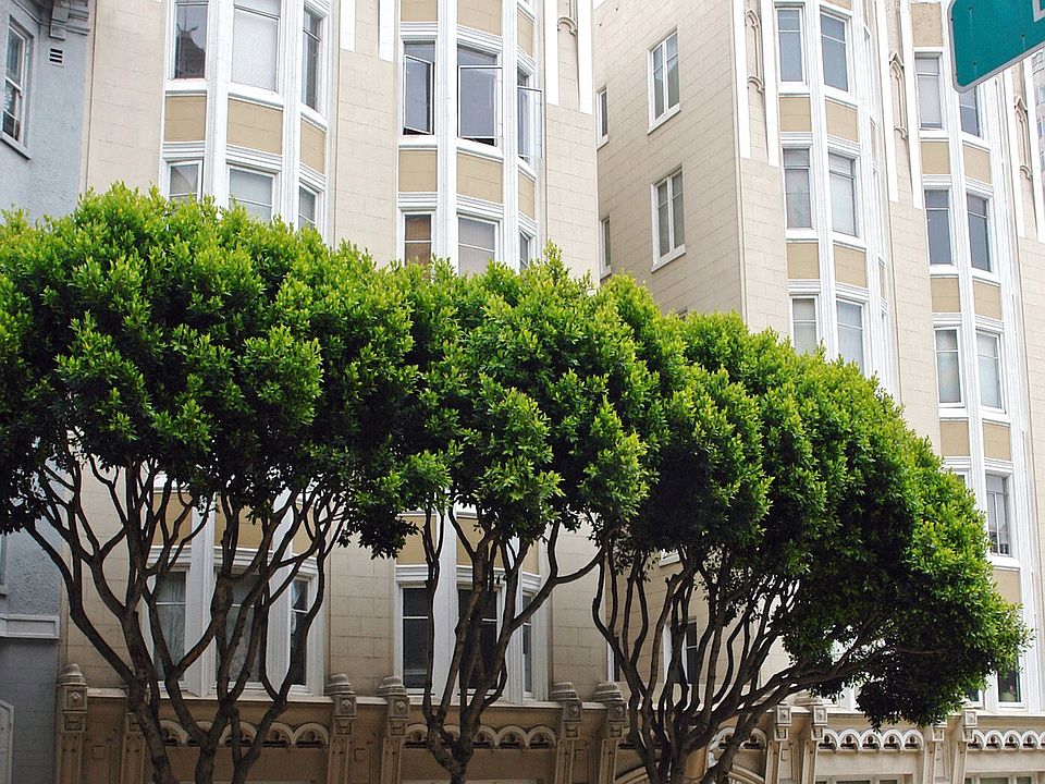 Side exterior view of the apartment building at 626 Powell St, San Francisco, CA 94108, USA