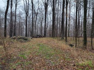 0 Green Rd #7, Dansville, NY 14437