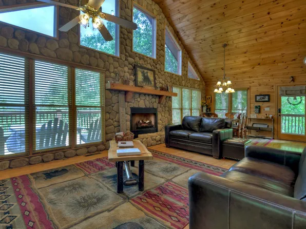 616 Bushy Head Rd, Cherry Log, GA 30522