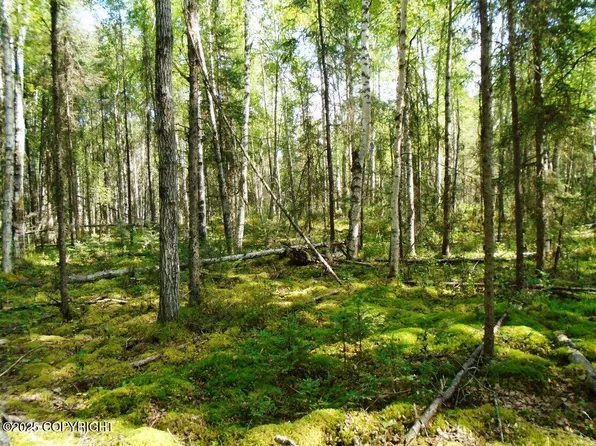 2077 N Meadow Lakes Loop, Wasilla, AK 99623