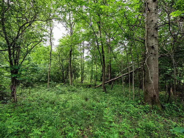 27015 50th St, Bangor, MI 49013