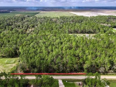 10345 Flikkema Ave, Hastings, FL, 32145