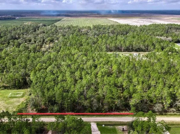 10345 Flikkema Ave, Hastings, FL 32145