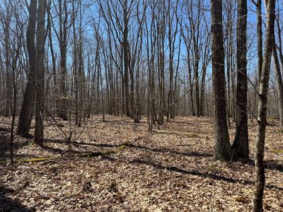 0 Grandview Rd, Hancock, NY, 13783