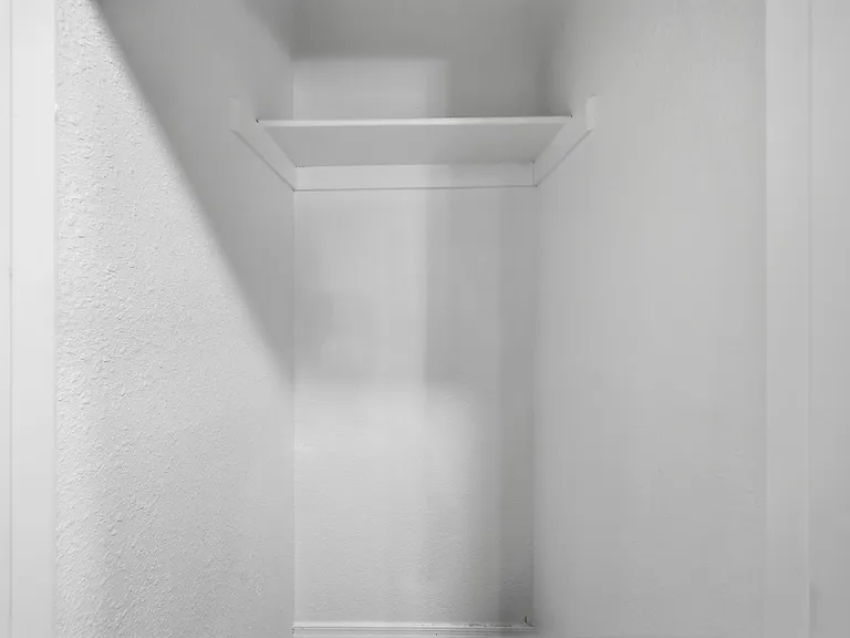 Dedicated closet storage with a sturdy upper shelf, offering convenient space to hang and organize everyday essentials.