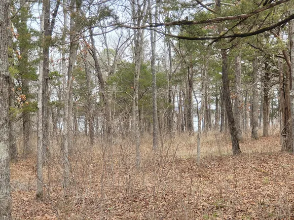 Lot 33 Eagles Point Lane, Shell Knob, MO 65747