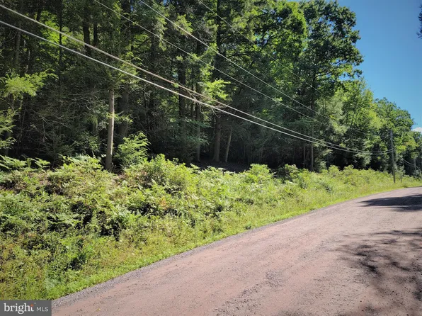 47 Hemlock Road Parcel #83, Grantsville, MD 21536