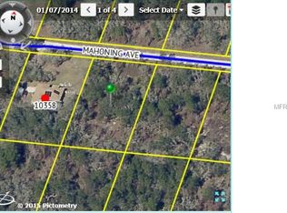 Mahoning Ave, Weeki wachee, FL 34614