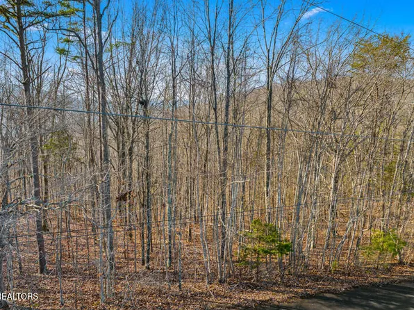 Overton Rd Lot 18/19, Maynardville, TN 37807