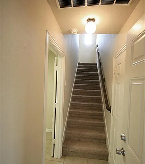 5503 Baby Blue Ln — Photo 24